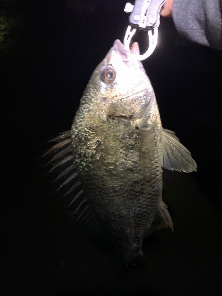 ２投目ヒット！