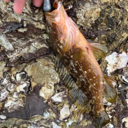 GWライトゲームin小浜