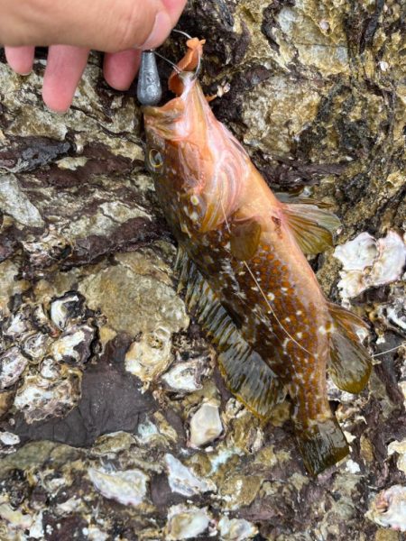 GWライトゲームin小浜