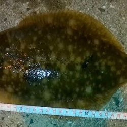 チョイ投げでデカカレイ！