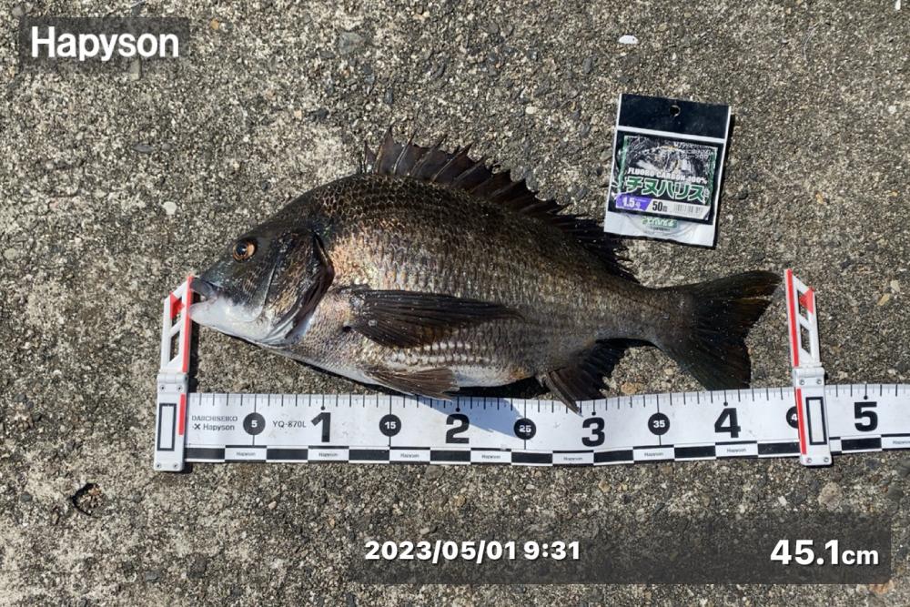 5月スタート エビ撒き釣り にて