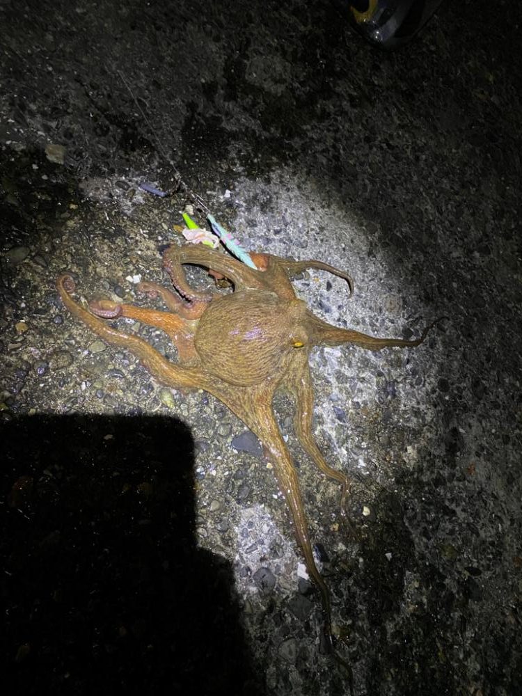 念願のキロアップ!!!