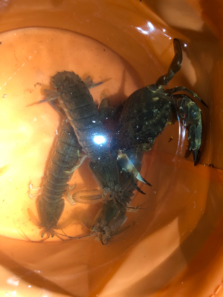 久しぶりの餌釣り♪