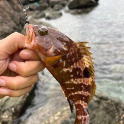 小浜ライトロック