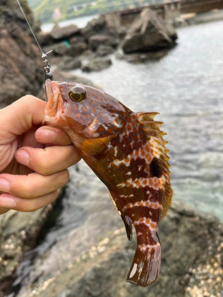 小浜ライトロック