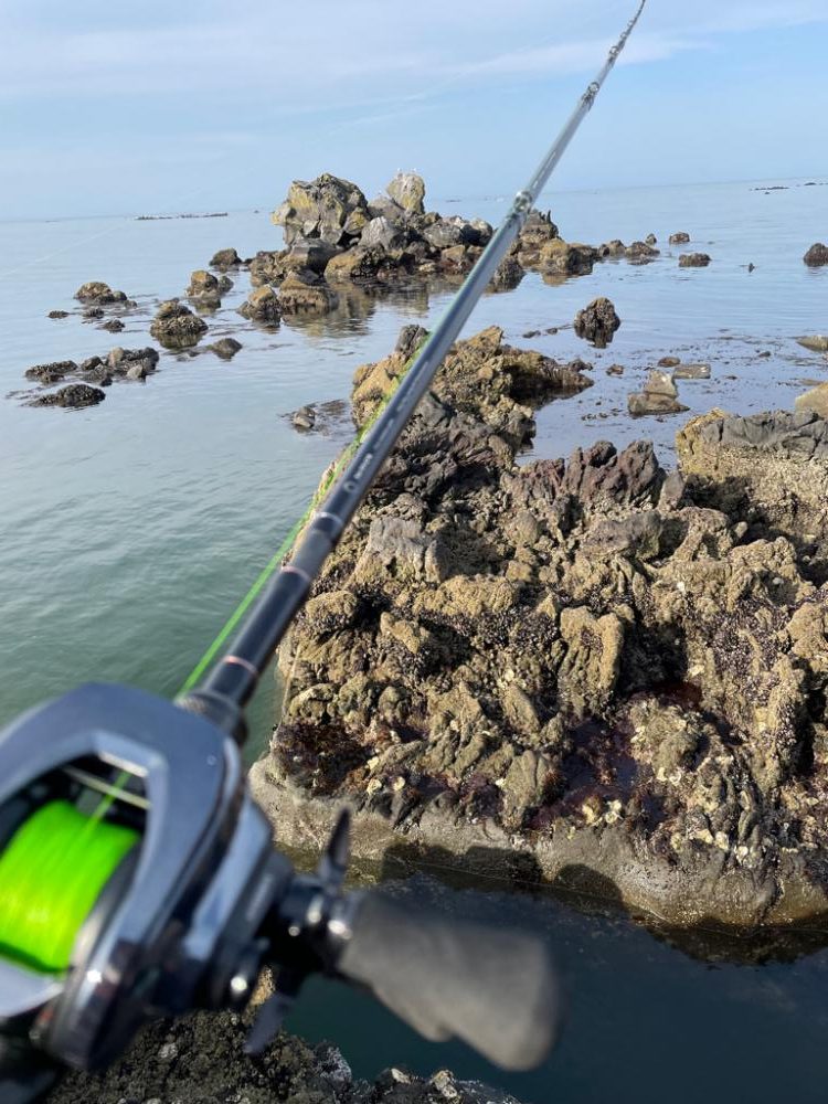 久々のライトゲーム