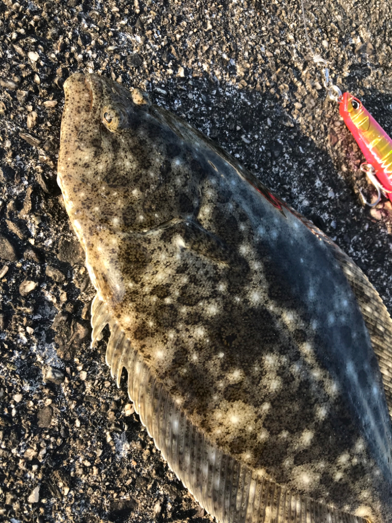 今季 初フラット!