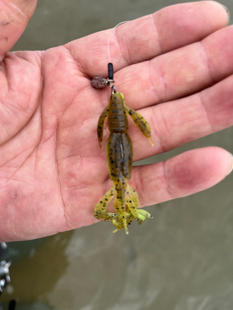 そろそろトップで！