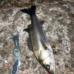 ⭐️リベンジ成…