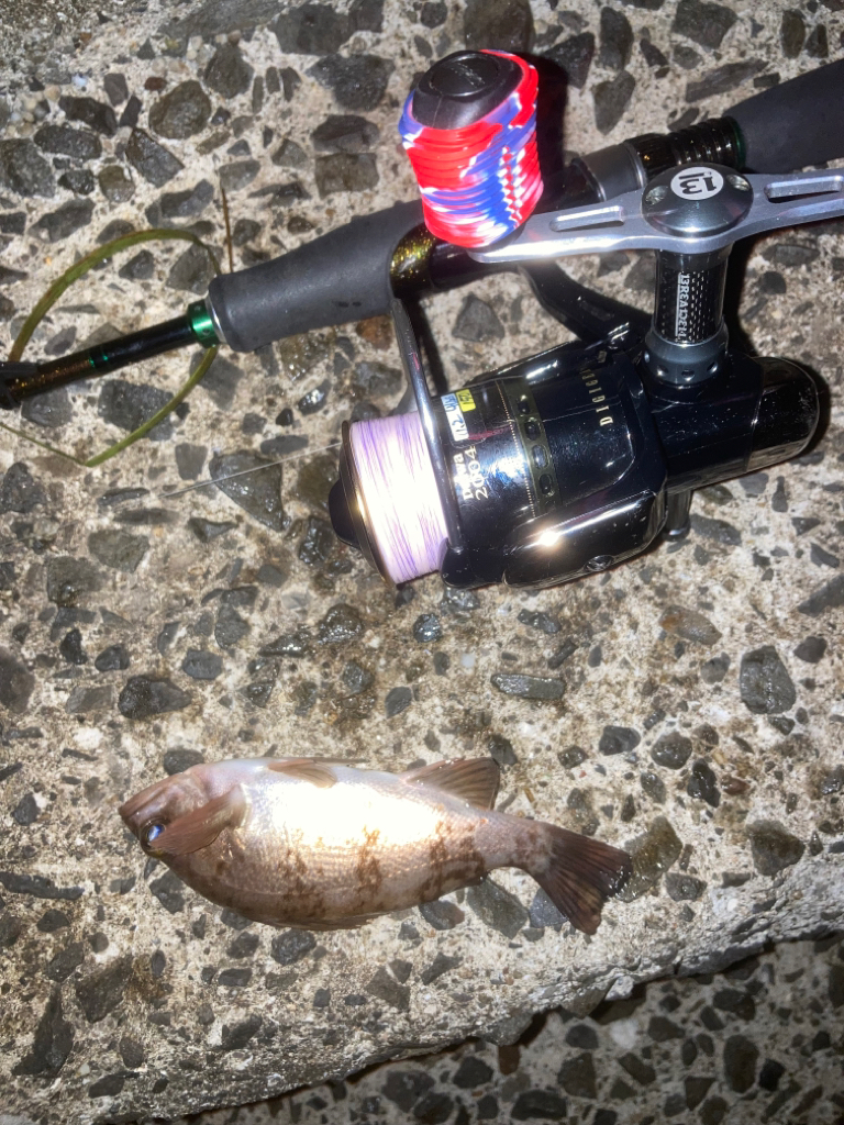 ご近所メバリング