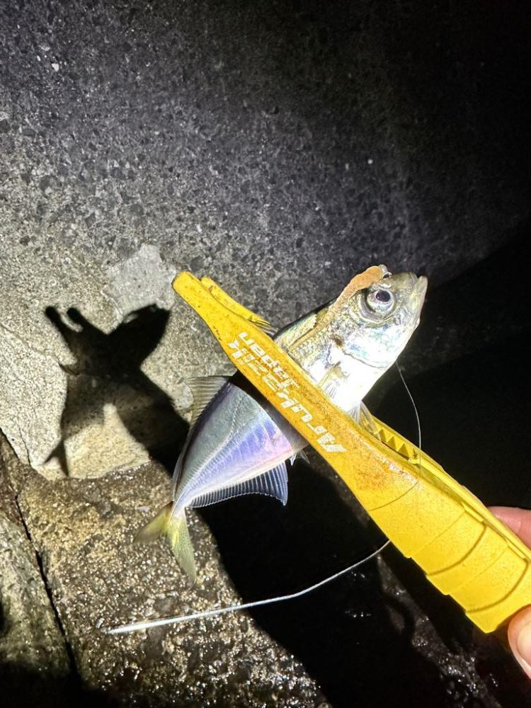 久々のフロートゲーム