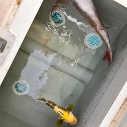 久々にあの海に