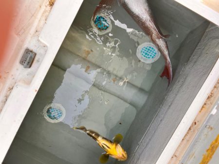 久々にあの海に