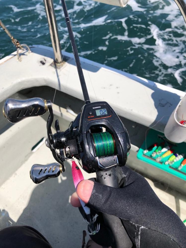 ヤリイカ イカメタル