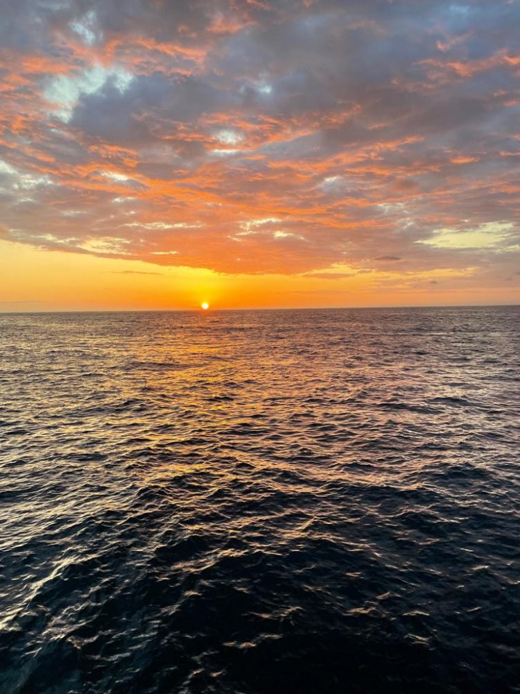 イサキ調査、釣れず、