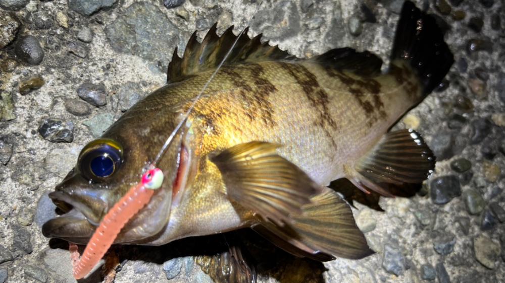 風＋大荒れの海