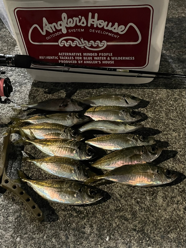 ジグ単deアジング…濁ってました。