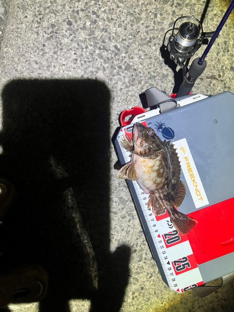 ランガンの末に