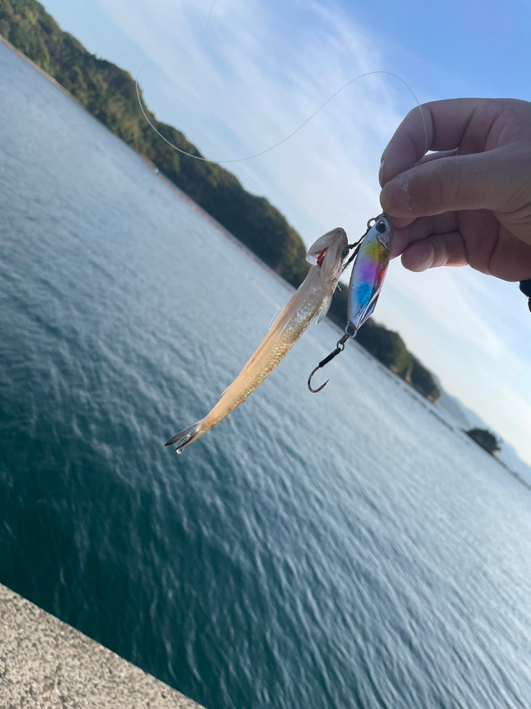 長崎離島最終日