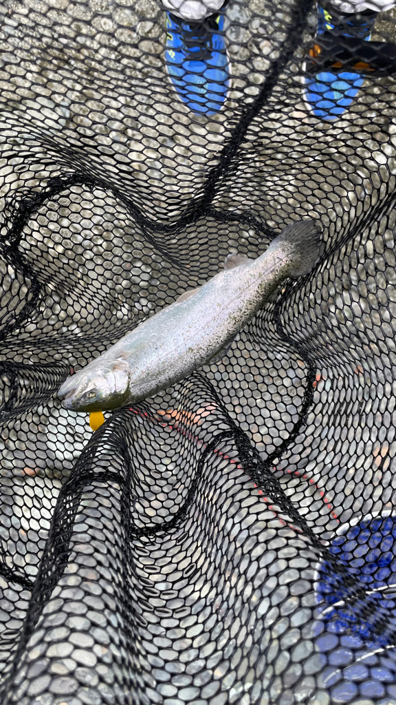 渋かったですが釣れて良かった