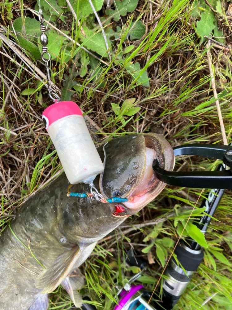 コロネット2っておもちゃみたいなリールで3連発