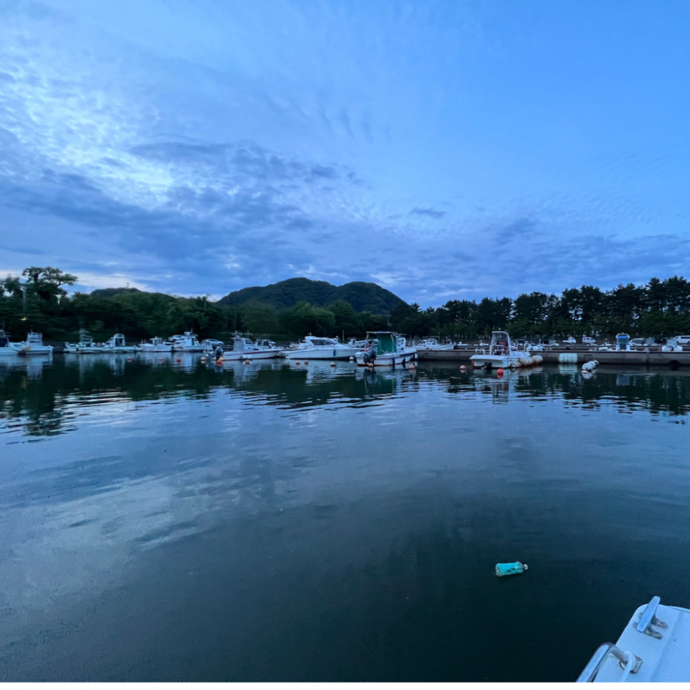 ケンサキイカ/イカメタル