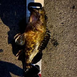 GWライトゲーム