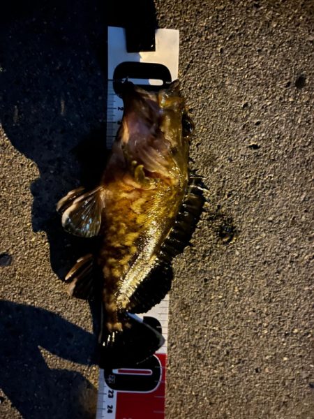 GWライトゲーム