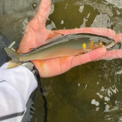 九州鮎釣連合会大会