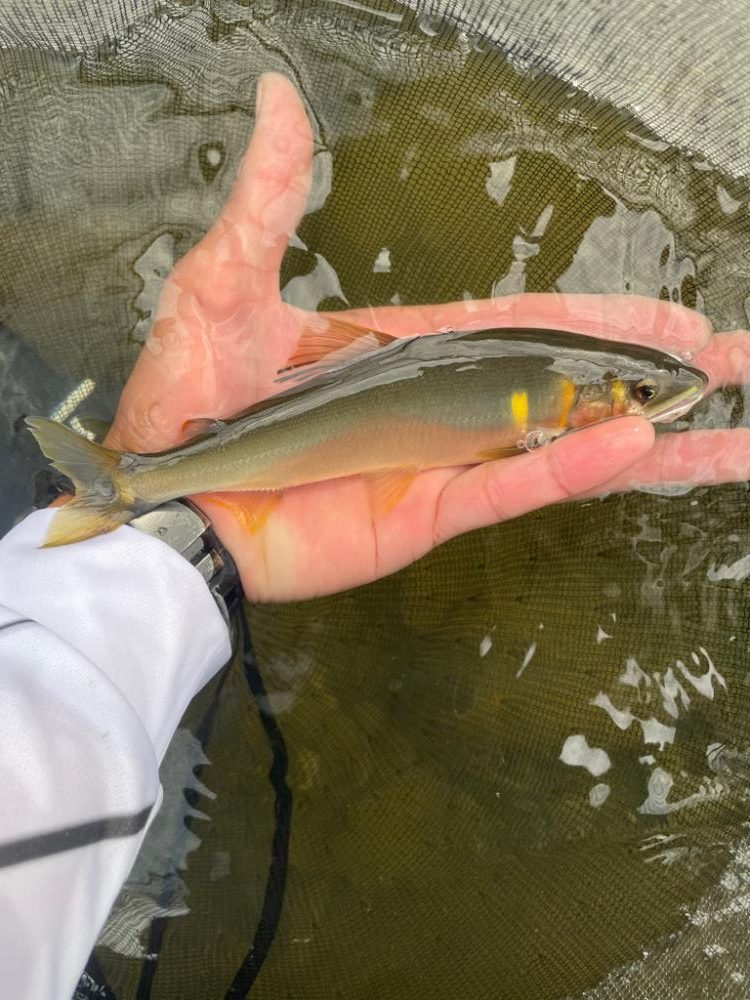 九州鮎釣連合会大会