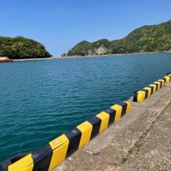 奥さんとドライブついでにちょっとキス釣り