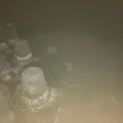 アジング、メバリング