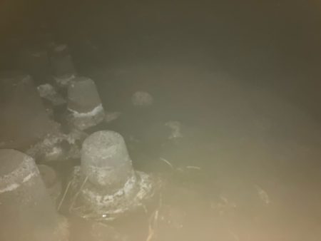 アジング、メバリング