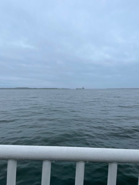 青物ありがとう