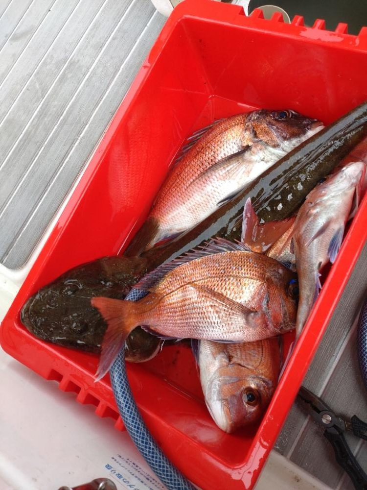 G7サミット、宮島周辺でのタイラバ!