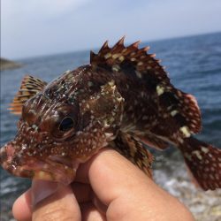 つっつっつっ遂にヒラマサ！！！