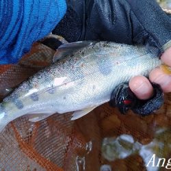 ブドウムシで良型連発!