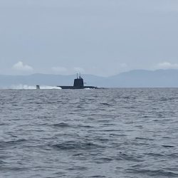 ヒラメ大量（サウス）