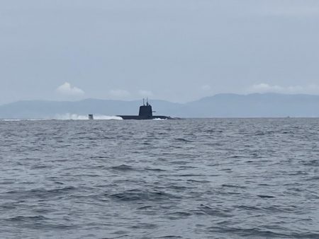 ヒラメ大量（サウス）