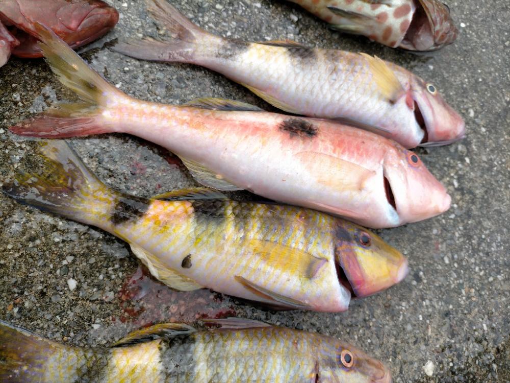 スプーンを投げまくる会