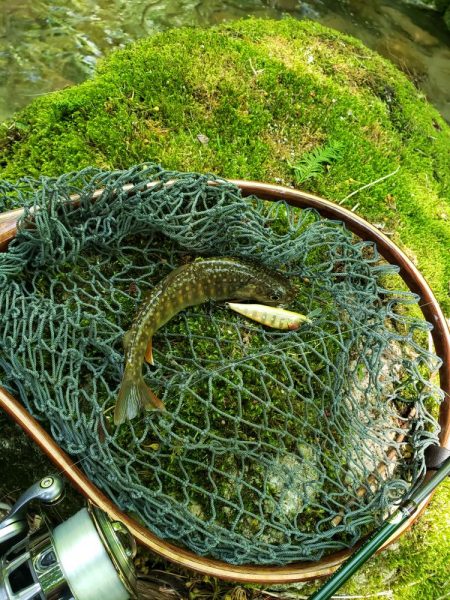 イワナのみでした