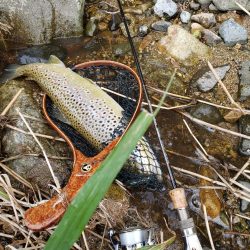 こんなとこに居る?