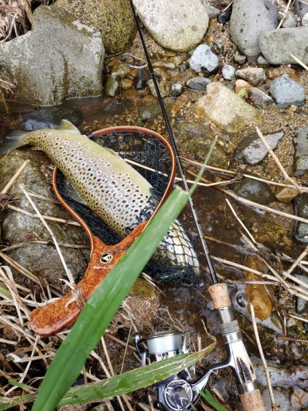 こんなとこに居る?