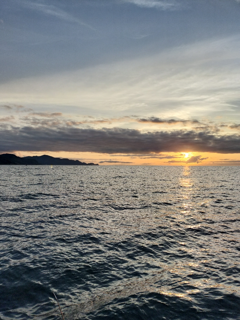 シロイカシーズン初挑戦☆