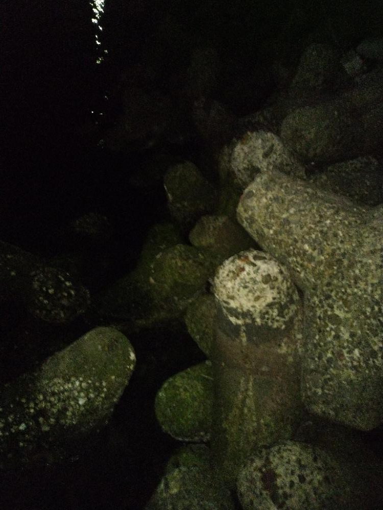 ちょい釣り20230502