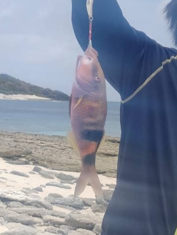 リーフでスプーンを投げまくる会