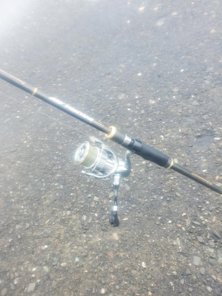 エギング　今季最大