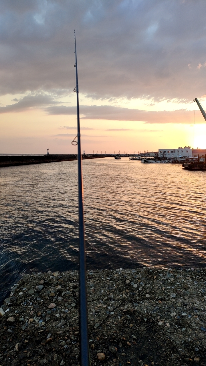 春イカまだかなぁ