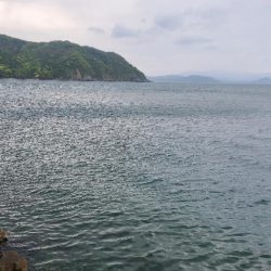 小物釣りで何とか5種目