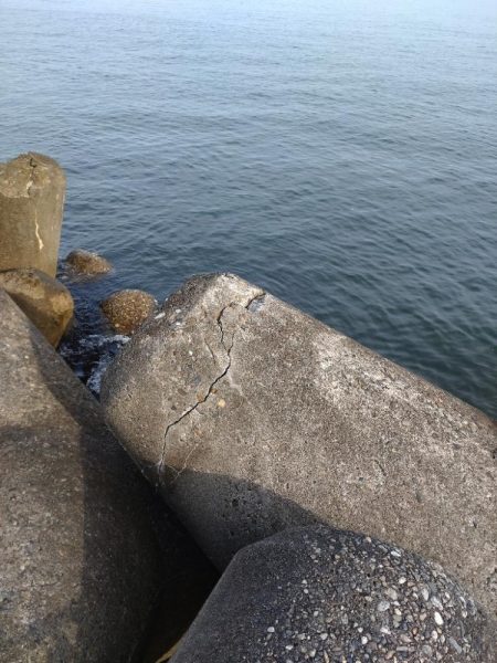 キジハタ1匹！フクラギ4匹！（お）